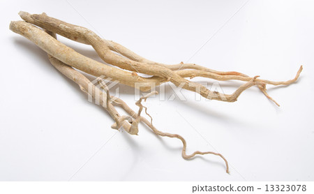Tongkat Ali - nature's sexual stimulant. 13323078