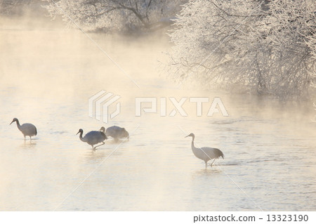 冬季縫隙 冬季縫隙 13323190