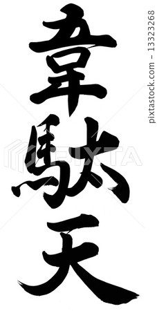 Ida Tian 13323268