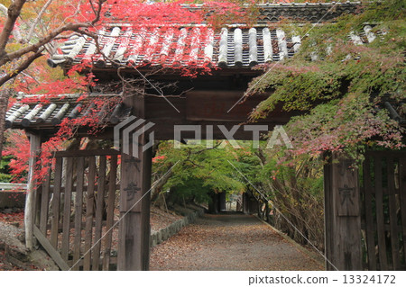 Autumn of Length Rokudera Autumn of Length Rokudera 13324172