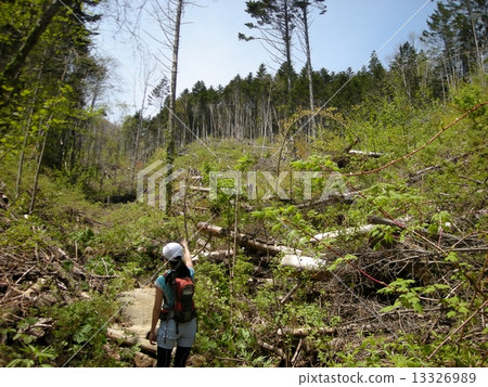 Trail running Trail running 13326989