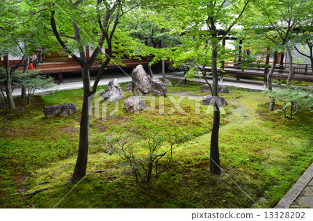 Kenninji寺的庭院·青苔庭院（Koshtsu cho Higashiyama ku京都市） 13328202