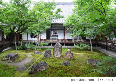 Kenninji寺的庭院·青苔庭院（Koshtsu cho Higashiyama ku京都市） 13328203