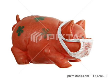 Swine Flu H1N1 Virus Swine Flu H1N1 Virus 13328602