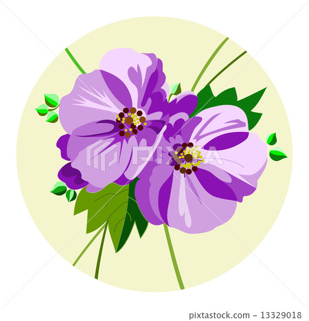 bouquet of lilac flowers 13329018