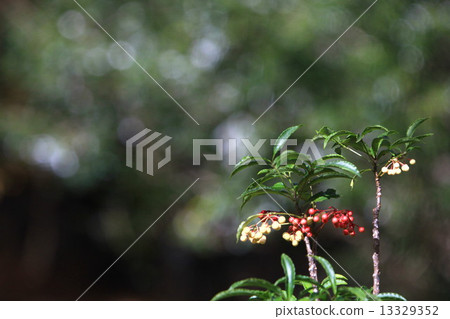 呼氣 呼氣 13329352