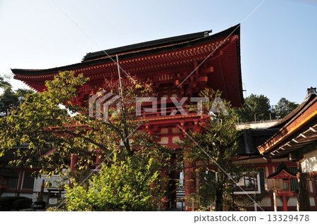 Kamigamo神社 Kamigamo神社 13329478