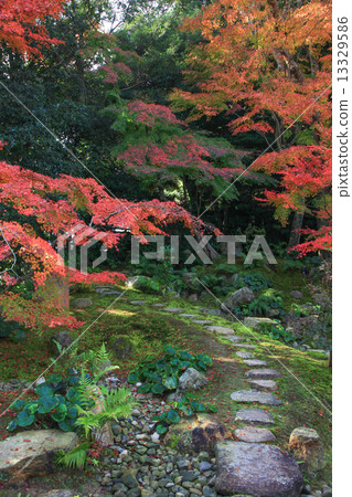 Mori Mori residence in autumn Mori Mori residence in autumn 13329586