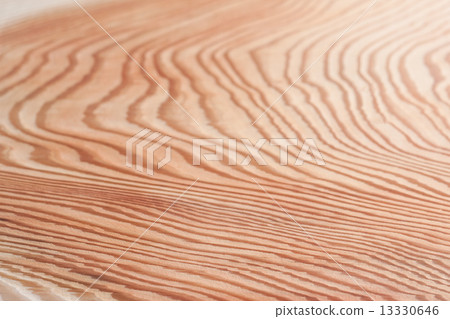 雪松板 雪松板 13330646