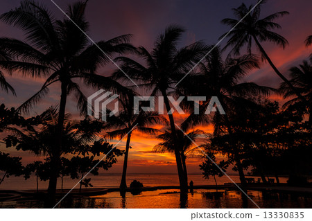 Dramatic Sunset with silhuettes palm and reflection in swimming 13330835