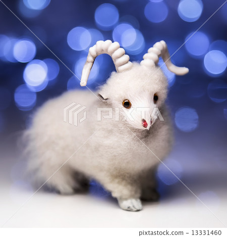 Sheep the symbol 2015 year 13331460