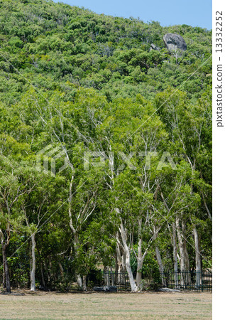 Cooktown Botanic Gardens 13332252