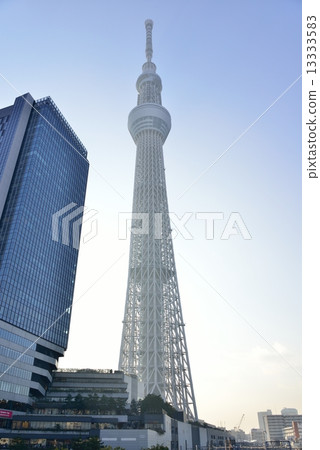東京天空樹 13333583