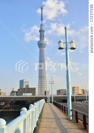 東京天空樹 13333586