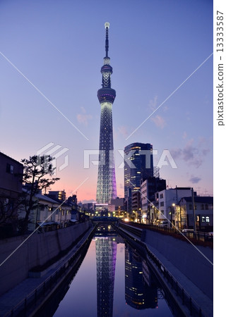 東京天空樹晚上風景 13333587