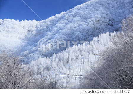 Akagi mountain with blooming frost ice Akagi mountain with blooming frost ice 13333797