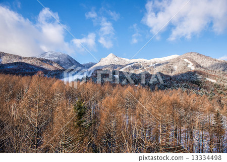 Beautiful landscape of winter season 13334498