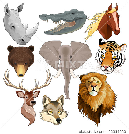 Set of animal heads 13334630
