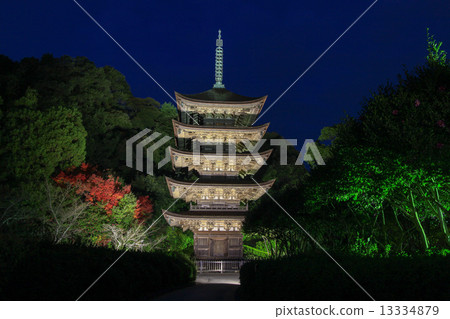 National treasure · Rurikoji Temple Five-storied pagoda 13334879