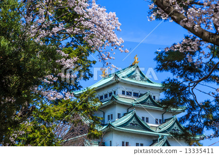 Spring Nagoya Castle 13335411