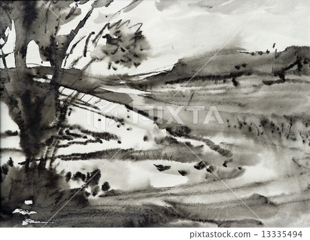 Landscape 13335494