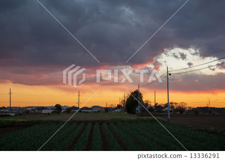 Sunset sky in the country 13336291