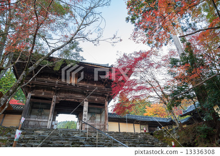 Jingoji gates 13336308