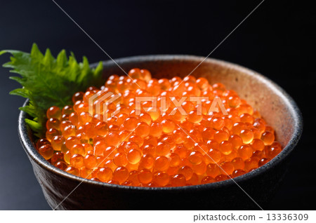 salmon roe salmon roe 13336309