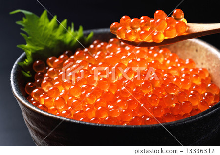  鮭魚子 13336312