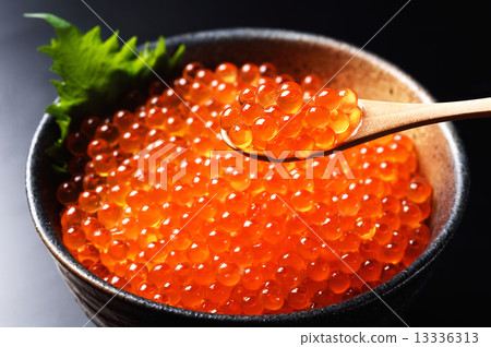  salmon roe 13336313