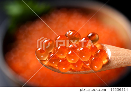  salmon roe 13336314