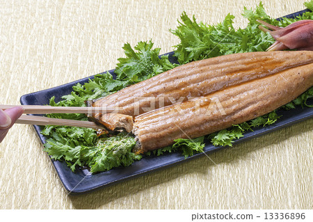 在奧卡拉製作的健康鰻魚 13336896