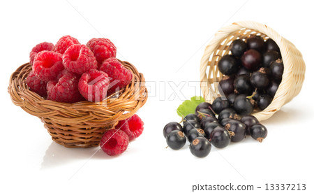 raspberry and currants  on white background 13337213