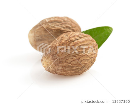 nutmeg on white background 13337390