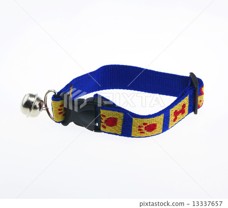 collar 13337657