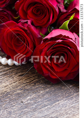 red roses on velvet red roses on velvet 13337873