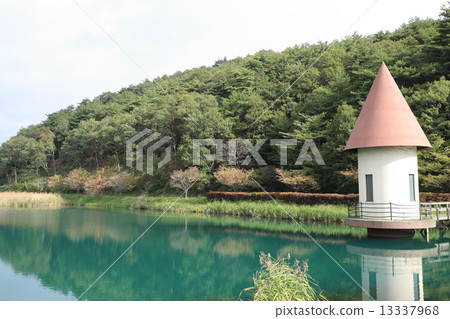 Green is a pond 13337968