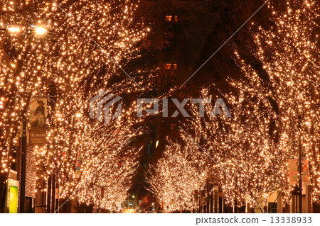 丸之內Nakadori Illuminations 13338933