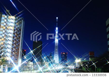 Sky tree  13338936