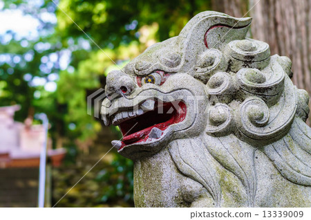 Souyama Asama Shrine's guardian dog Souyama Asama Shrine's guardian dog 13339009