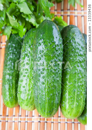 cucumber 13339436