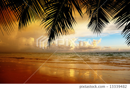 sunset on the beach of caribbean sea sunset on the beach of caribbean sea 13339482