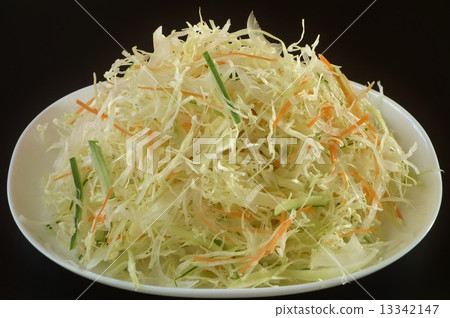 vegetable salad	 13342147
