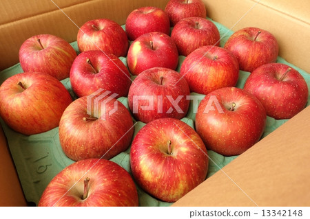 Apple  13342148