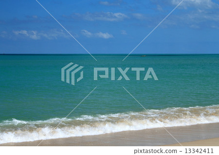 Resort ocean in tropical country 13342411