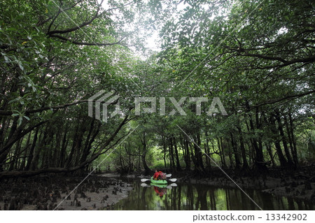 River Kayak River Kayak 13342902