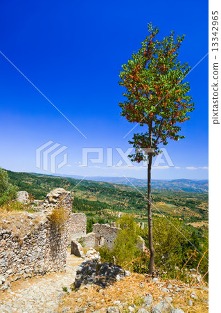 Ruins of old town in Mystras, Greece 13342965