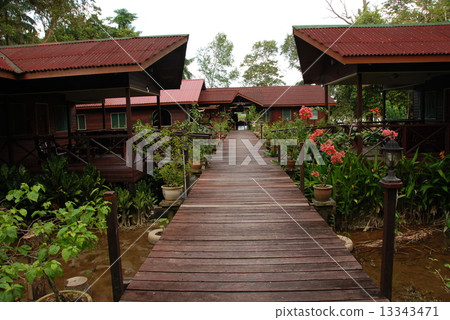 熱帶雨林小屋（東馬來西亞·婆羅洲島） 13343471