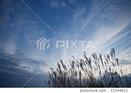 A sky that predicts approaching typhoon A sky that predicts approaching typhoon 13344621