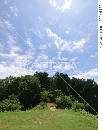 NAGAO Plas NAGAO Plas 13346585